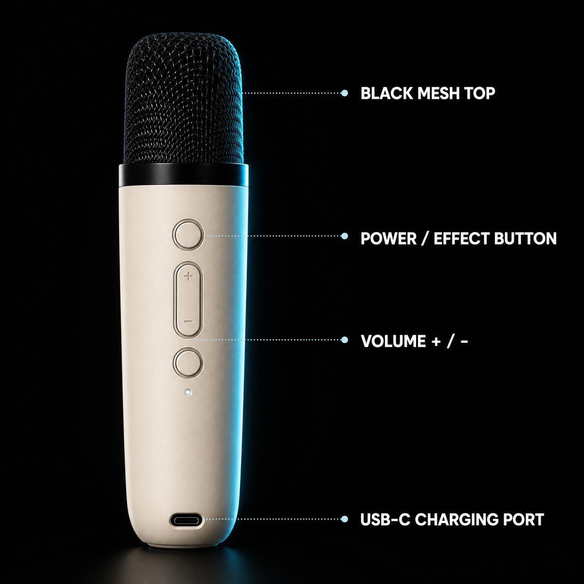 KORVANE K12 Duet Karaoke Speaker with Mic
